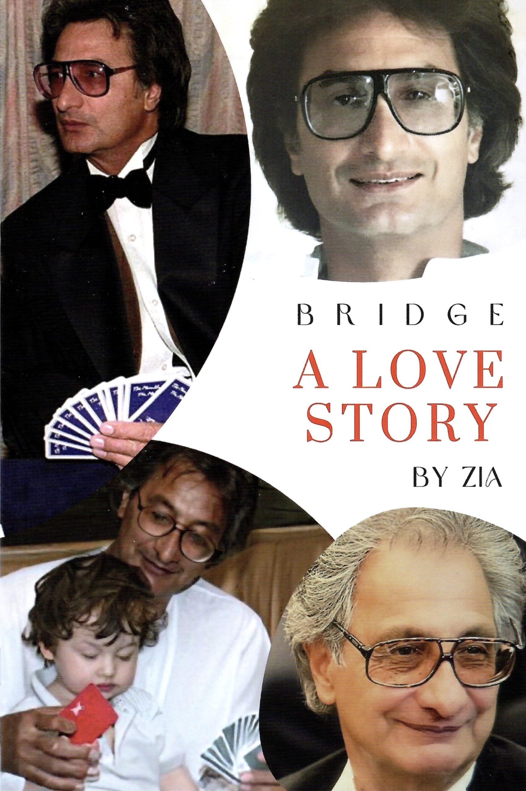 Bridge, A Love Story door Zia Mahmood